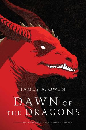 Cover of the book Dawn of the Dragons by Anita E. Shepherd