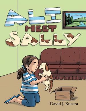 Cover of the book Ali Meet Sally by Bhakti Kshatriya, PharmD