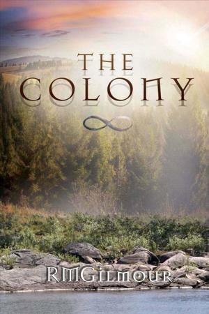 Cover of the book The Colony by Lucas Wiedemann