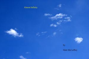 Cover of the book Almost Infinity by B Buena