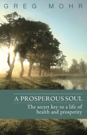 Cover of the book A Prosperous Soul by Christine Ammer