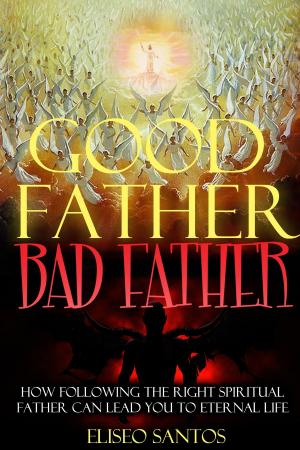 Cover of the book Good Father, Bad Father by T. Stelma