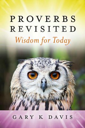 Cover of the book Proverbs Revisited by Paul Davis, MD
