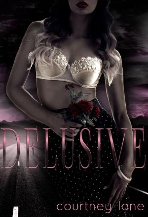 Cover of the book Delusive by Gerard Daniels