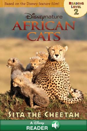 Cover of African Cats: Sita the Cheetah
