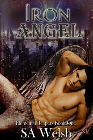 Cover of the book Iron Angel by Viola Grace