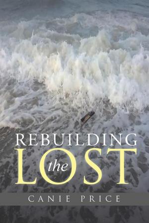 Cover of the book Rebuilding the Lost by Robyn Sturgeon