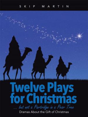 Cover of the book Twelve Plays for Christmas … but Not a Partridge in a Pear Tree by Steven Wesley Land