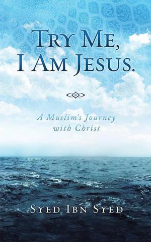 Cover of the book Try Me, I Am Jesus by Kurt Takamine