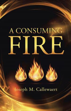 Cover of the book A Consuming Fire by Alicia J. Winget
