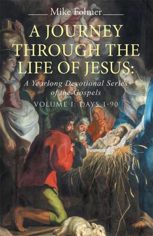 Cover of the book A Journey Through the Life of Jesus: a Yearlong Devotional Series of the Gospels by Donna M. Heinzen