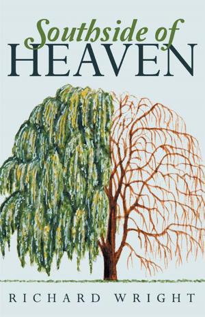Book cover of Southside of Heaven