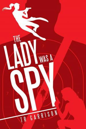 Cover of the book The Lady Was a Spy by Waverley Traylor