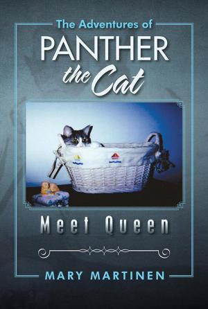 Cover of the book The Adventures of Panther the Cat by Deborah Graham