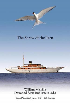Cover of the book The Screw of the Tern by Brett Hodnett