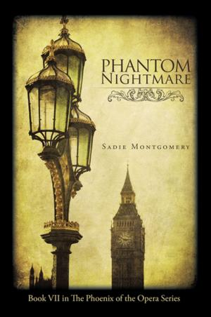 Cover of the book Phantom Nightmare by Vanessa Van Petten