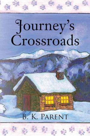 Cover of the book Journey’S Crossroads by Vincent Di Blasi
