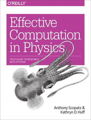 Cover of the book Effective Computation in Physics by Aviva Garrett
