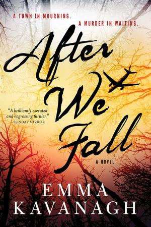 bigCover of the book After We Fall by 