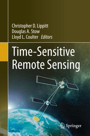 Cover of the book Time-Sensitive Remote Sensing by Gianfranco Dioguardi