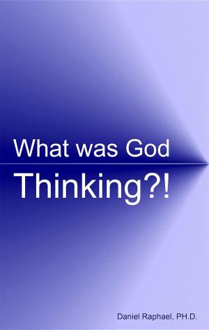 Cover of the book What Was God Thinking?! by António Lizar