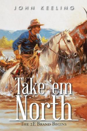 Cover of the book Take 'Em North by Meric D. Walker, Trevor O'Reggio