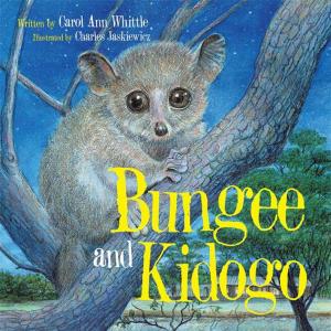 Cover of the book Bungee and Kidogo by Stephen Gregory
