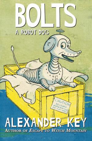 Cover of the book Bolts by Lawrence Sanders