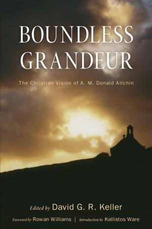 Cover of the book Boundless Grandeur by Robert Allan Hill