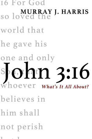 Cover of the book John 3:16 by Frank A.J. Braun