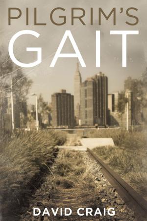 Cover of the book Pilgrim’s Gait by David P. Gushee