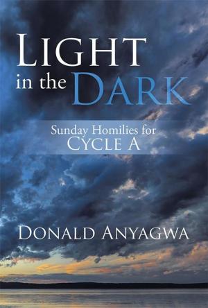 Cover of the book Light in the Dark by Mike Ike Chinwuba