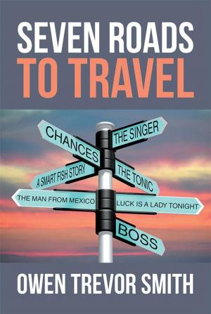 Cover of the book Seven Roads to Travel by Jane Comer