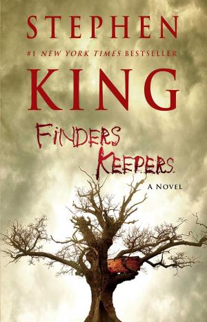Cover of the book Finders Keepers by Denise Hamilton