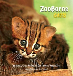 Cover of the book ZooBorns Cats! by Gordon B. Hinckley