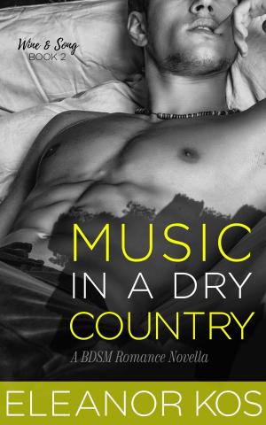 Cover of the book Music in a Dry Country: A BDSM Romance Novella by Patricia Seeley