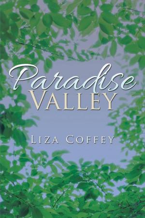 Cover of the book Paradise Valley by Colleen E. Edwards