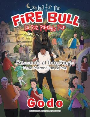 Cover of the book Looking for the Fire Bull La Paz Patron’S Fair by Priscilla Delgado