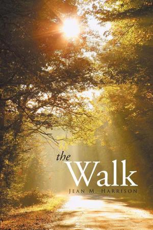 Cover of the book The Walk by Misty Powers