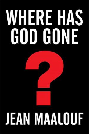 Book cover of Where Has God Gone?