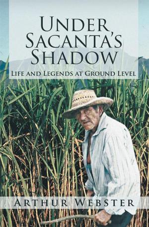 Cover of the book Under Sacanta’S Shadow by Tehesia N Maultsby