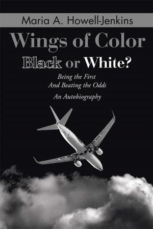 Cover of the book Wings of Color by C. Stephen Foster