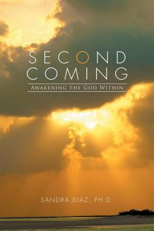 Cover of the book Second Coming by Deborah Ruth Dinnall