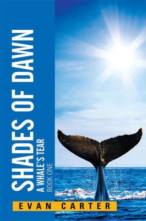 Cover of the book Shades of Dawn by Melodie Poulson
