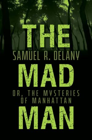 Cover of the book The Mad Man by Paul Monette