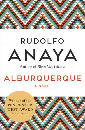 Cover of the book Alburquerque by James Conaway