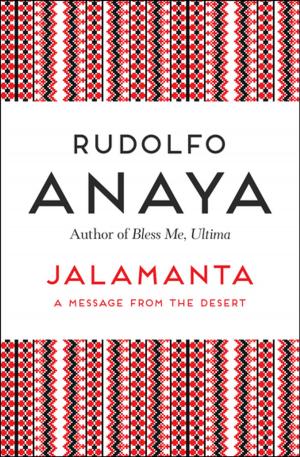 Cover of the book Jalamanta by Dan Wakefield