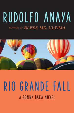 Cover of the book Rio Grande Fall by Philip Wylie