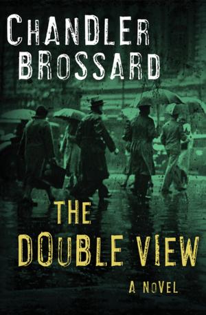 Cover of the book The Double View by Edwin A. Abbott