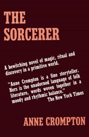 Cover of the book The Sorcerer by Gwen Florio